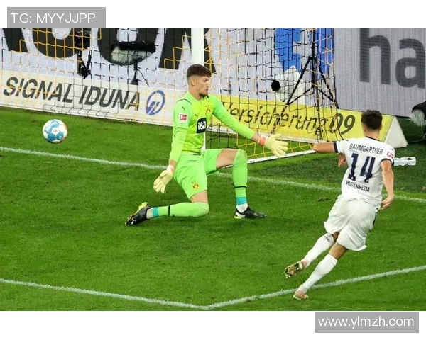 德国队多特蒙德足球明星的辉煌历程与未来展望 德国队多特蒙德足球明星的辉煌历程与未来展望