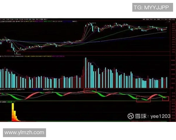 杭州篮球队与上海篮球队赛后状态分析与复盘总结 杭州篮球队与上海篮球队赛后状态分析与复盘总结