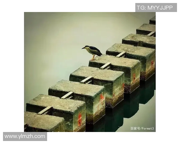 足球明星收割机背后的秘密与传奇故事揭示了他们如何改变比赛与人生的轨迹 足球明星收割机背后的秘密与传奇故事揭示了他们如何改变比赛与人生的轨迹