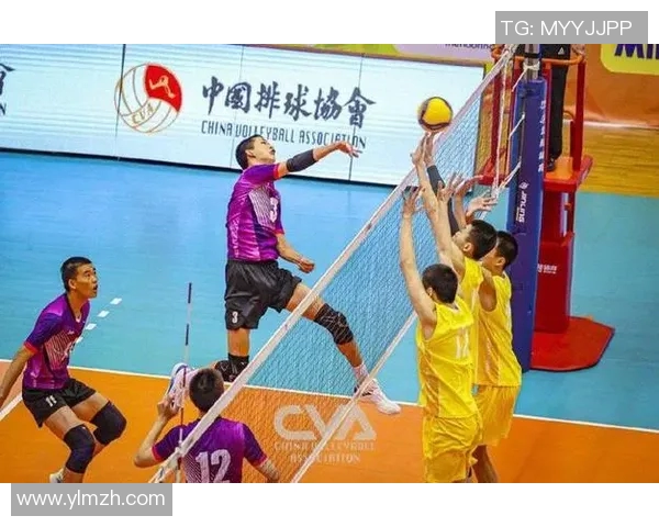 上海排球队运营模式创新探索助力体育发展新篇章 上海排球队运营模式创新探索助力体育发展新篇章