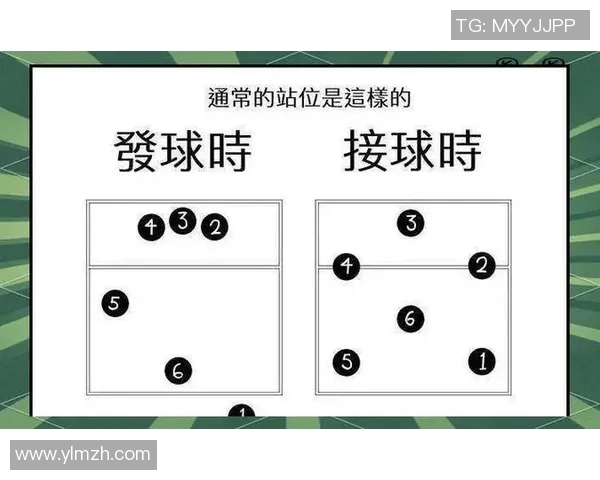 排球盛宴:深入解析北京排球队员的个人技能与战术配合 排球盛宴:深入解析北京排球队员的个人技能与战术配合