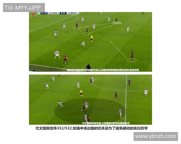 广州排球队阵地战体系的战术解析与实战应用探讨