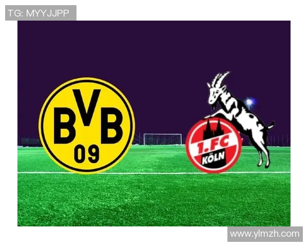 大黄蜂足球明星的辉煌历程与未来展望探讨