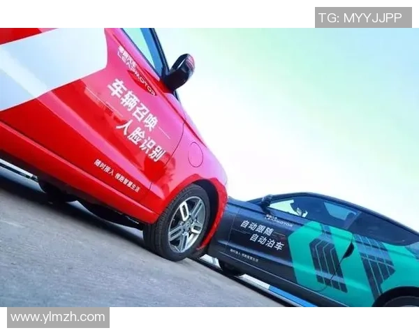 西安篮球队的崛起之路：从默默无闻到总决赛的辉煌历程