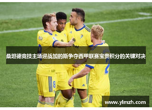 桑坦德竞技主场迎战加的斯争夺西甲联赛宝贵积分的关键对决