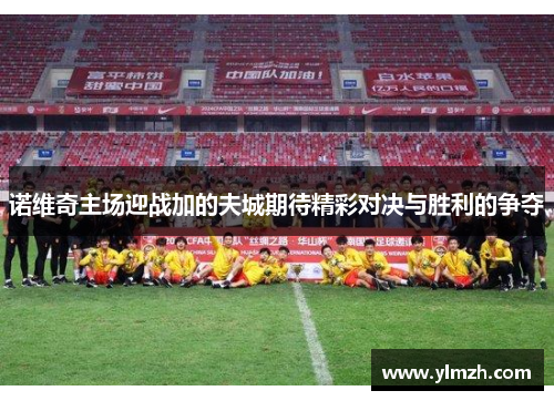 诺维奇主场迎战加的夫城期待精彩对决与胜利的争夺